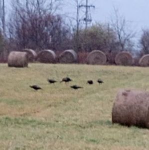 Meet your Posher, Gene